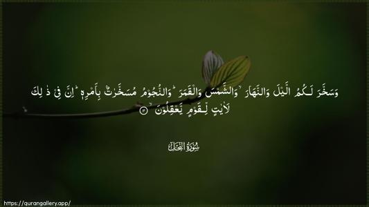 An-Nahl Ayah 12 - Arabic (Wide) wallpaper