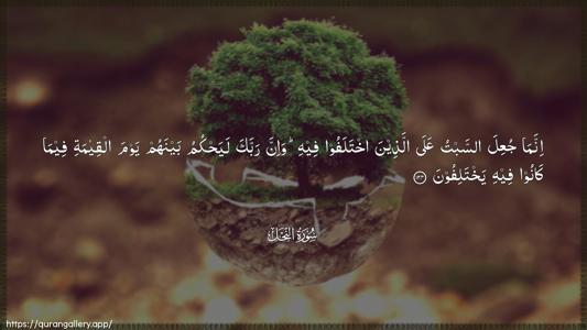 An-Nahl Ayah 124 - Arabic (Wide) wallpaper