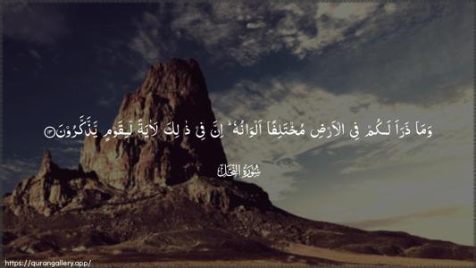 An-Nahl Ayah 13 - Arabic (Wide) wallpaper