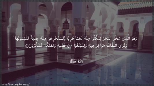 An-Nahl Ayah 14 - Arabic (Wide) wallpaper