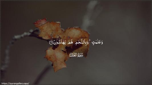 An-Nahl Ayah 16 - Arabic (Wide) wallpaper
