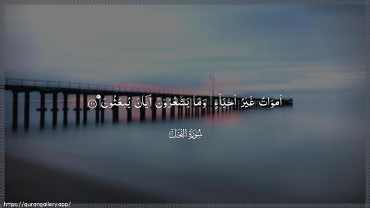 An-Nahl Ayah 21 - Arabic (Wide) wallpaper
