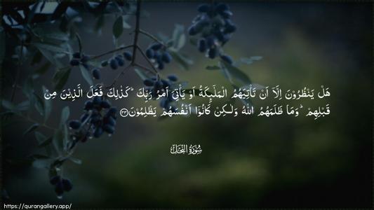 An-Nahl Ayah 33 - Arabic (Wide) wallpaper