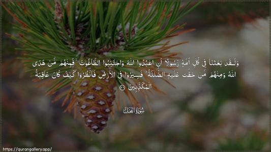 An-Nahl Ayah 36 - Arabic (Wide) wallpaper