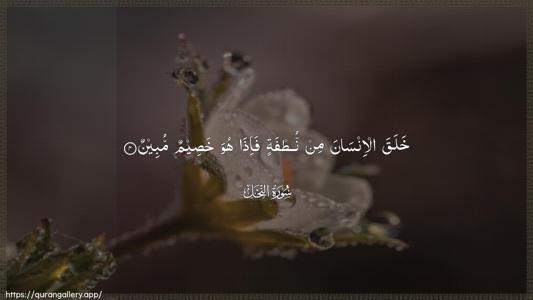 An-Nahl Ayah 4 - Arabic (Wide) wallpaper