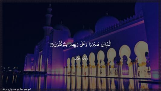 An-Nahl Ayah 42 - Arabic (Wide) wallpaper