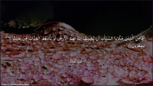 An-Nahl Ayah 45 - Arabic (Wide) wallpaper