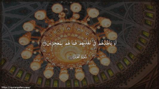 An-Nahl Ayah 46 - Arabic (Wide) wallpaper