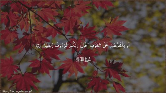 An-Nahl Ayah 47 - Arabic (Wide) wallpaper