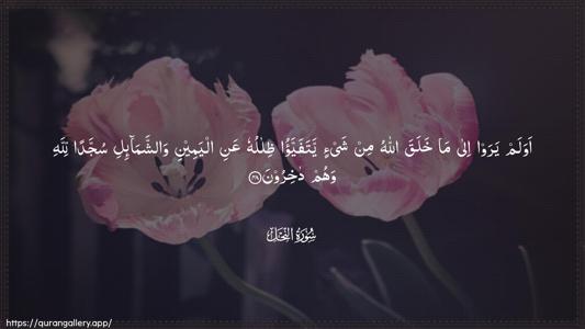 An-Nahl Ayah 48 - Arabic (Wide) wallpaper