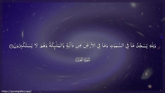 An-Nahl Ayah 49 - Arabic (Wide) wallpaper