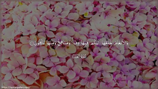 An-Nahl Ayah 5 - Arabic (Wide) wallpaper