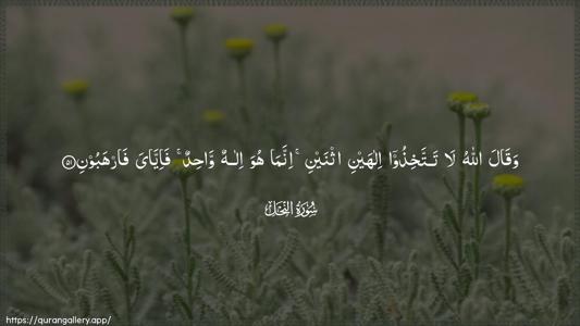 An-Nahl Ayah 51 - Arabic (Wide) wallpaper