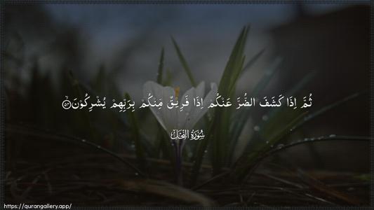 An-Nahl Ayah 54 - Arabic (Wide) wallpaper