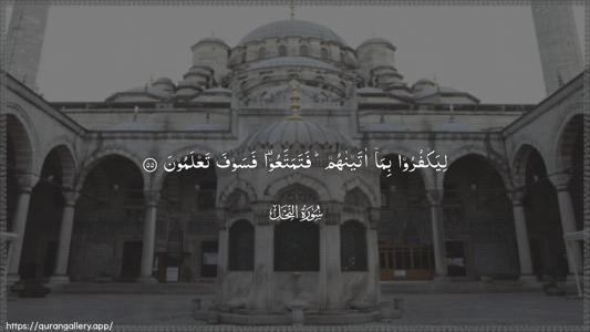 An-Nahl Ayah 55 - Arabic (Wide) wallpaper