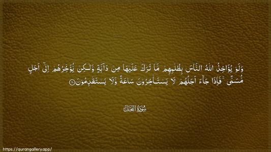 An-Nahl Ayah 61 - Arabic (Wide) wallpaper