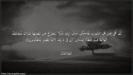 An-Nahl Ayah 69 - Arabic (Wide) wallpaper
