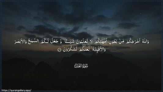 An-Nahl Ayah 78 - Arabic (Wide) wallpaper
