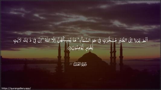 An-Nahl Ayah 79 - Arabic (Wide) wallpaper