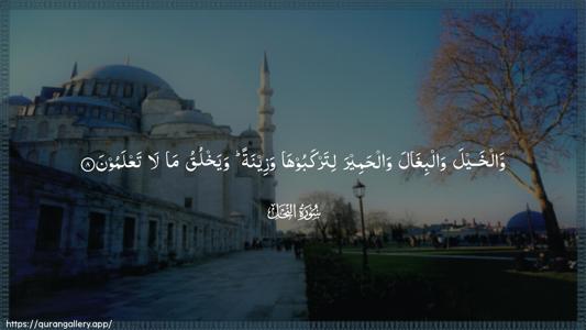 An-Nahl Ayah 8 - Arabic (Wide) wallpaper