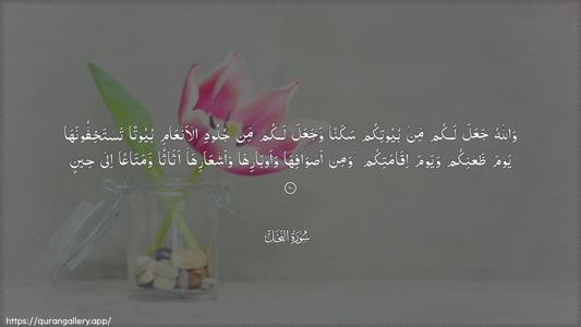 An-Nahl Ayah 80 - Arabic (Wide) wallpaper