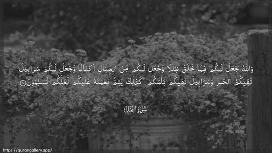 An-Nahl Ayah 81 - Arabic (Wide) wallpaper