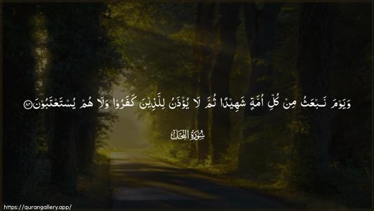 An-Nahl Ayah 84 - Arabic (Wide) wallpaper
