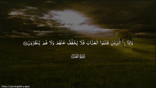 An-Nahl Ayah 85 - Arabic (Wide) wallpaper