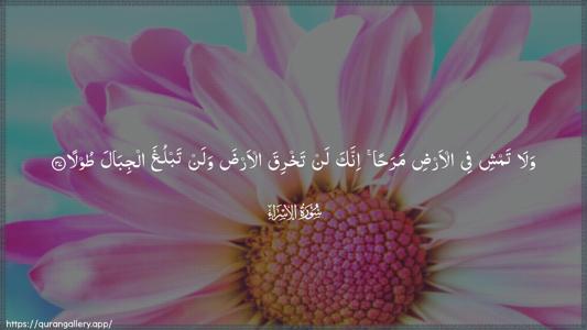 Al-Israa Ayah 37 - Arabic (Wide) wallpaper