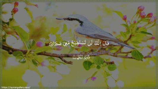Al-Kahf Ayah 67 - Arabic (Wide) wallpaper