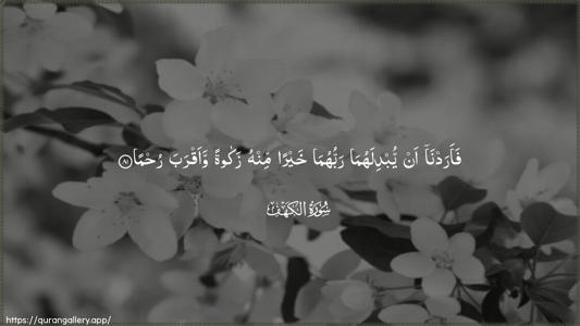 Al-Kahf Ayah 81 - Arabic (Wide) wallpaper