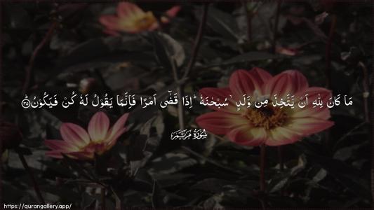 Maryam Ayah 35 - Arabic (Wide) wallpaper