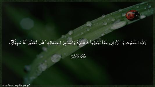 Maryam Ayah 65 - Arabic (Wide) wallpaper