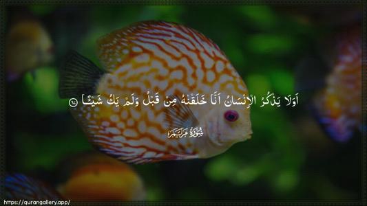 Maryam Ayah 67 - Arabic (Wide) wallpaper