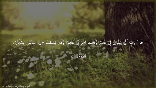 Maryam Ayah 8 - Arabic (Wide) wallpaper
