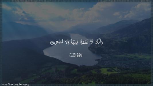 Taa-Haa Ayah 119 - Arabic (Wide) wallpaper