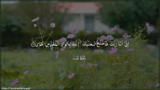 Taa-Haa Ayah 12 - Arabic (Wide) wallpaper