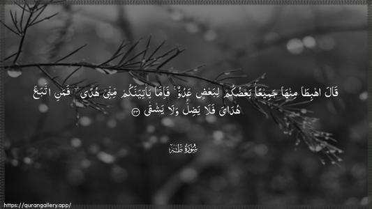 Taa-Haa Ayah 123 - Arabic (Wide) wallpaper