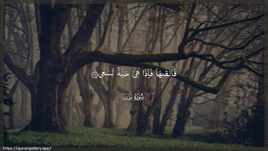 Taa-Haa Ayah 20 - Arabic (Wide) wallpaper