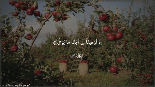 Taa-Haa Ayah 38 - Arabic (Wide) wallpaper