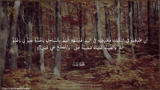 Taa-Haa Ayah 39 - Arabic (Wide) wallpaper