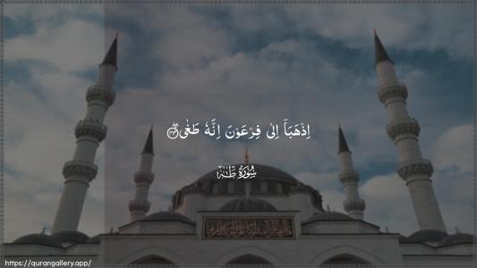 Taa-Haa Ayah 43 - Arabic (Wide) wallpaper