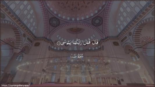Taa-Haa Ayah 49 - Arabic (Wide) wallpaper