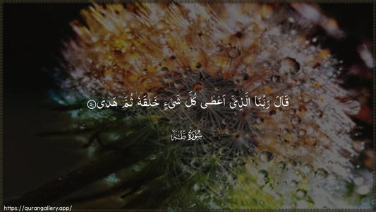 Taa-Haa Ayah 50 - Arabic (Wide) wallpaper