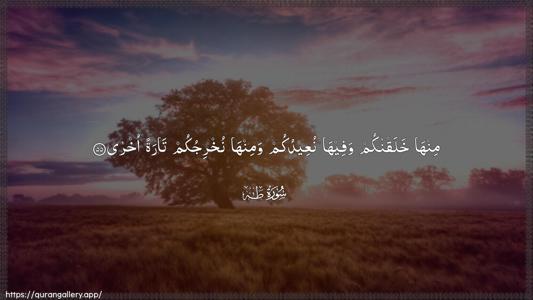 Taa-Haa Ayah 55 - Arabic (Wide) wallpaper