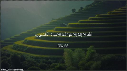 Taa-Haa Ayah 8 - Arabic (Wide) wallpaper