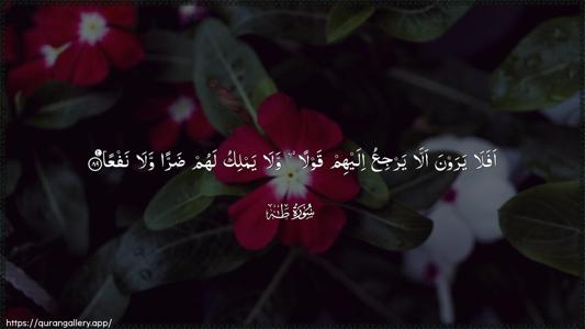Taa-Haa Ayah 89 - Arabic (Wide) wallpaper