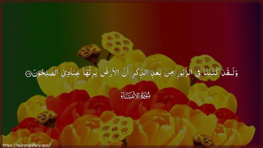 Al-Anbiyaa Ayah 105 - Arabic (Wide) wallpaper