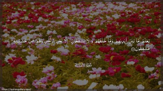 Al-Anbiyaa Ayah 28 - Arabic (Wide) wallpaper