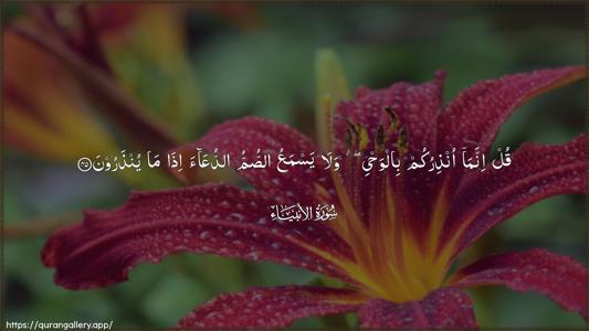 Al-Anbiyaa Ayah 45 - Arabic (Wide) wallpaper